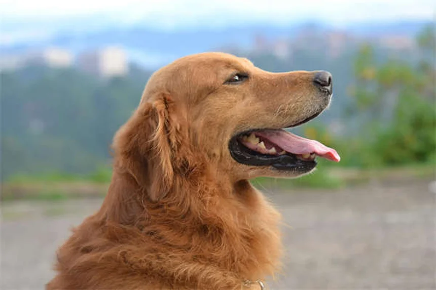 2026 Subaru Solterra Review: More Range, Power & Charging Speed